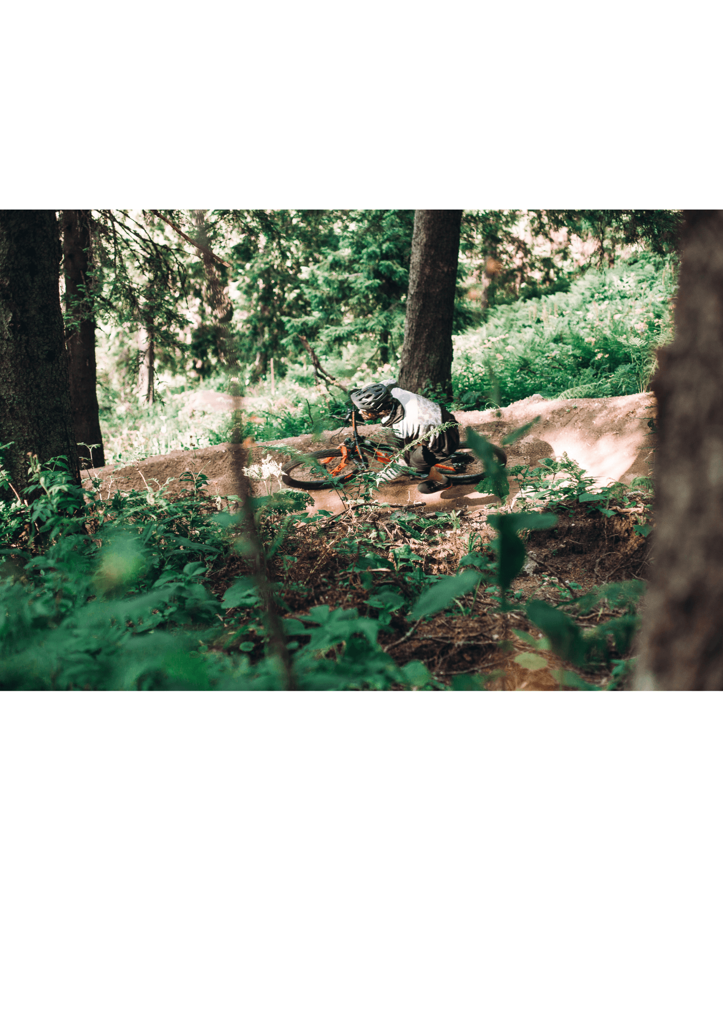 Mountain bike tours in Transylvania