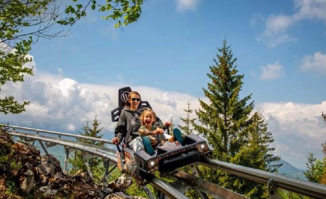 Alpine coaster ride in Cheile Gradistei